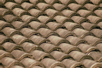 Best Gutter Guard Systems For Homes