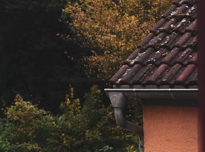 How Often Should You Clean Your Gutters