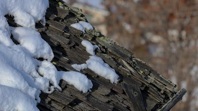 How Storm Damage Affects Your Roof
