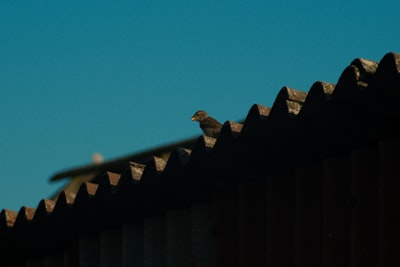 Metal Roofing Vs Shingle Roofing Which Is Better