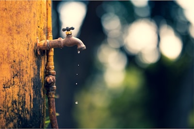 Signs You Need Emergency Plumbing Services