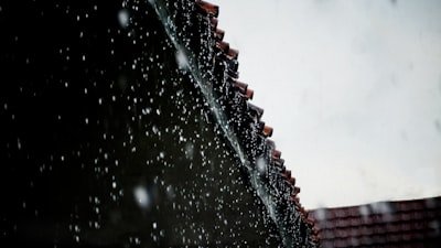 Why Regular Gutter Cleaning Is Important